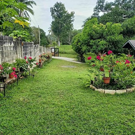 Balai Mariacaria Pension House Guindulman Dış mekan fotoğraf