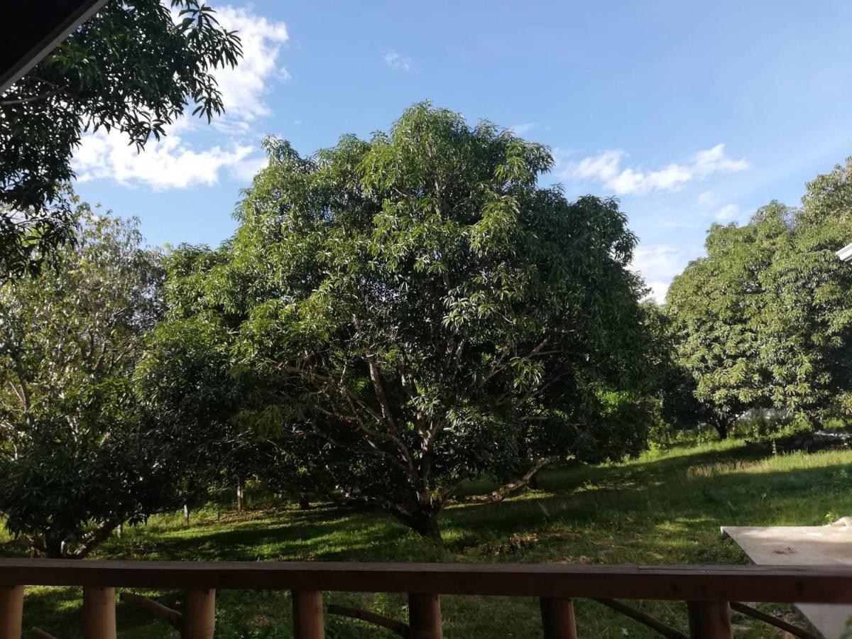 Balai Mariacaria Pension House Guindulman Dış mekan fotoğraf
